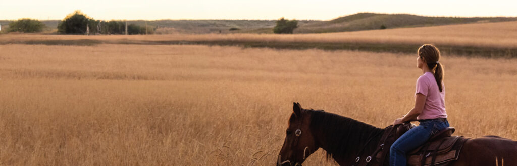 Woman riding a horse through a wheat field